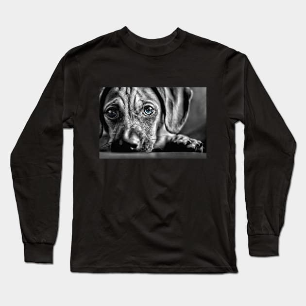 Blue-Eyed Black & White Puppy Long Sleeve T-Shirt by cameradog